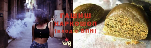 индика Ладушкин