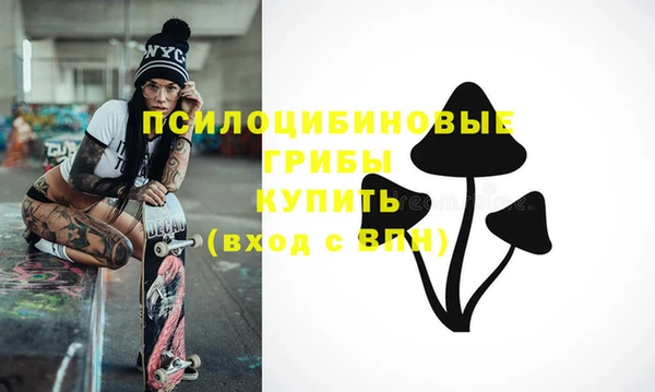 мдпв Лабытнанги