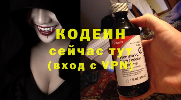 мдпв Лабытнанги