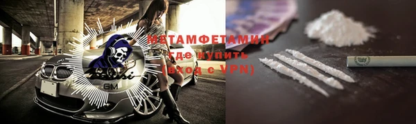 индика Ладушкин