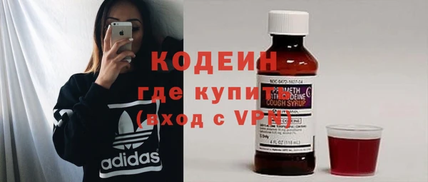 индика Ладушкин