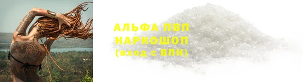индика Ладушкин