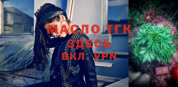 индика Ладушкин