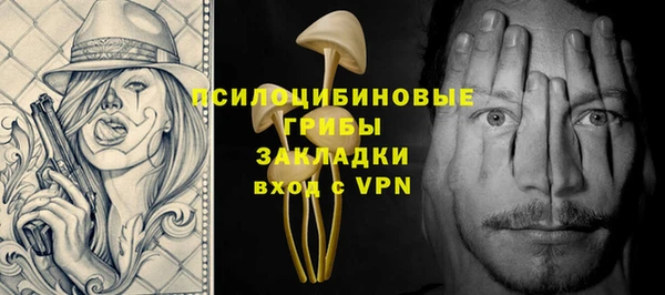 мдпв Лабытнанги