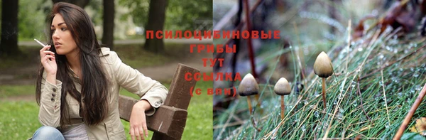 мяу мяу мука Лагань