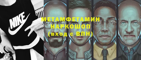 индика Ладушкин